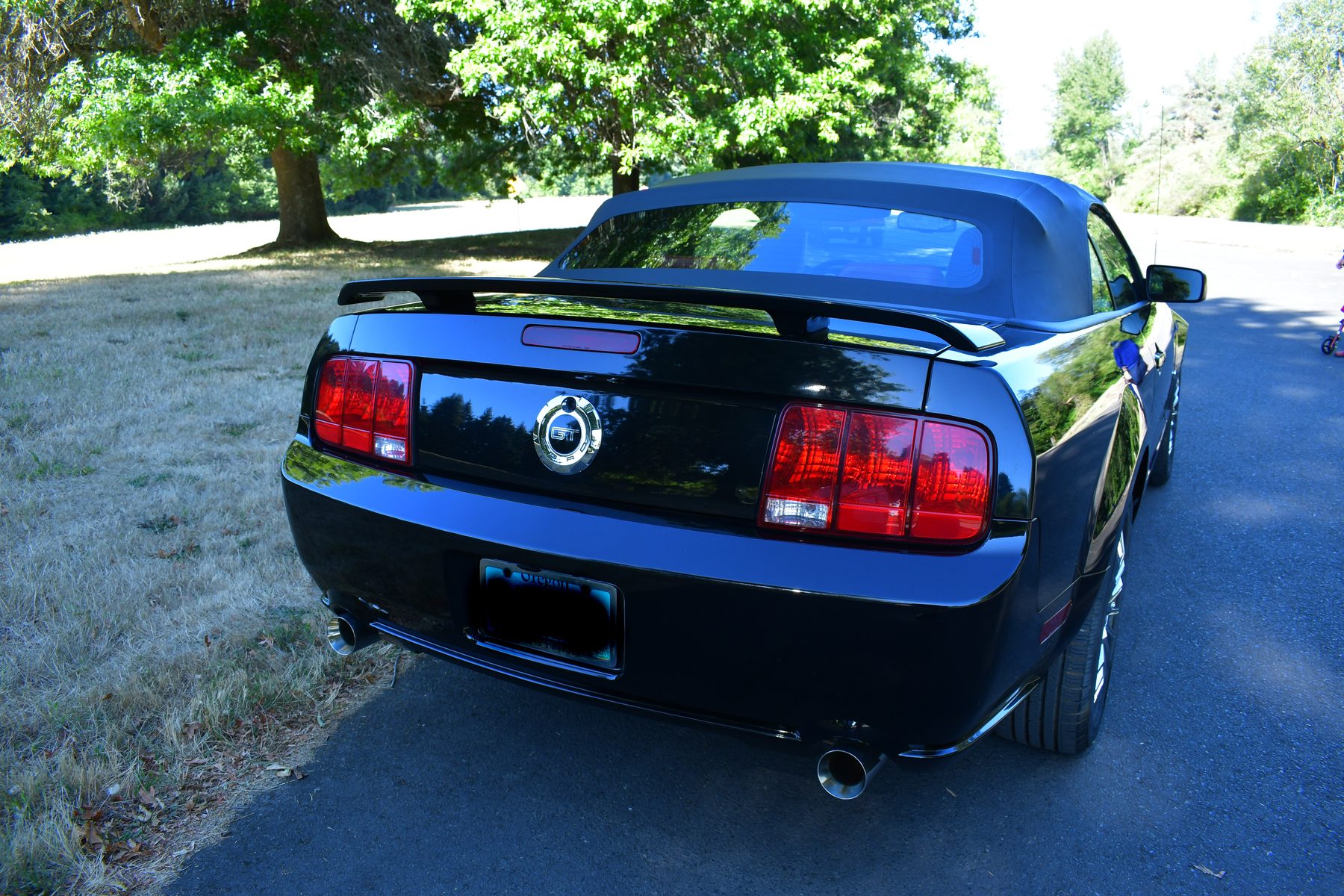 Straight rear view showing dual exhaust