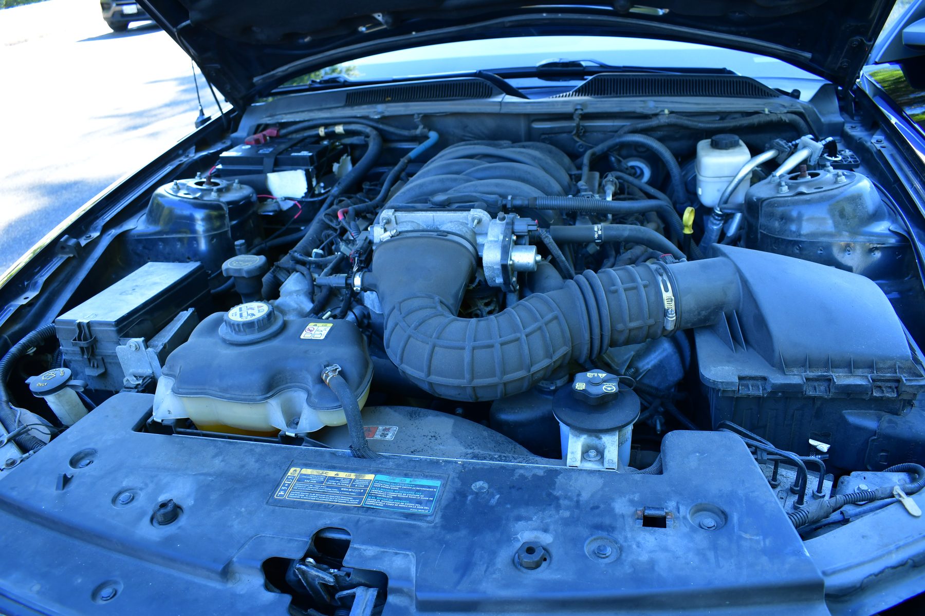 4.6L V8 engine bay